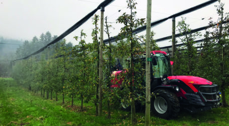 BeeP! – 2. Kurs in Silberberg