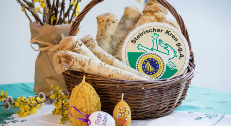 Steirischer Kren tut und schmeckt gut