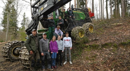 Harvester bei Holzernte im Praxiseinsatz