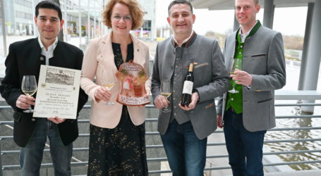 Gewürztraminer reüssiert in Znaim