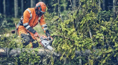 Husqvarna macht Sägen beweglicher