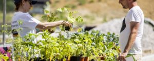 VinziRast-am-Land eröffnet am 7. Mai