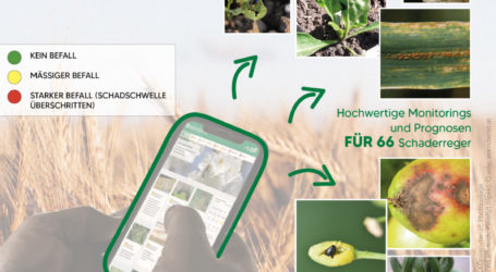 Warndienst sorgt für Schutz der Pflanzen