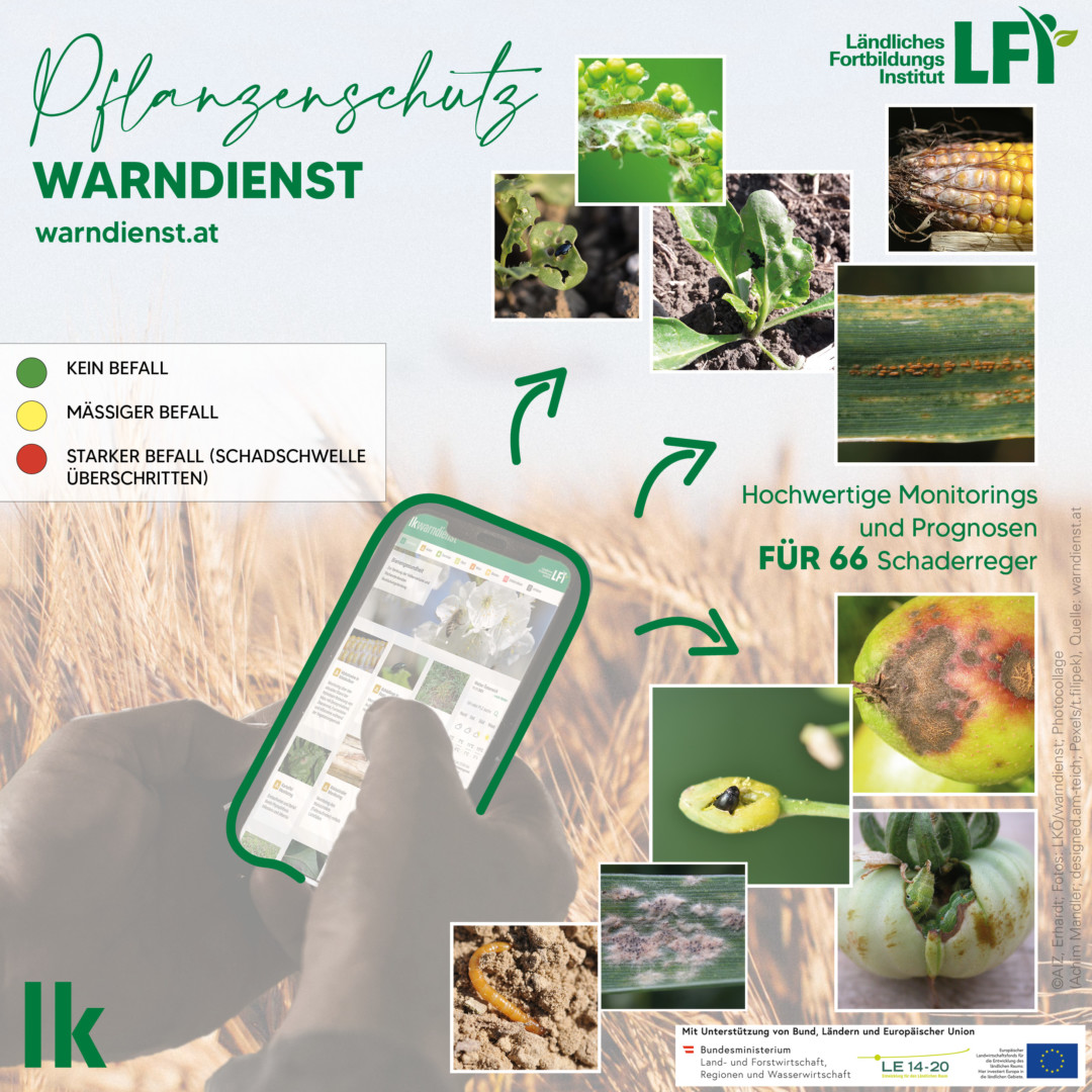 Warndienst für Schutz der Pflanzen Blick ins Land