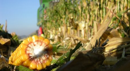 Patentrechtsnovelle wichtiges Signal an EU