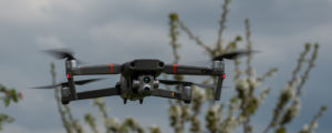 Drohnen zum Vogelschutz zweischneidig
