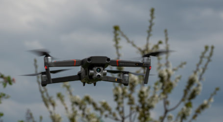 Drohnen zum Vogelschutz zweischneidig