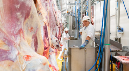 Im Zweifel ab zum Videoschiedsrichter