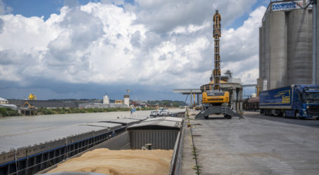 Warnung vor Soja-Importverbot