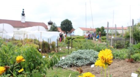 ARCHE Noah öffnet die Luken