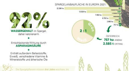 Aufkommende Vorfreude auf hiesigen Spargel