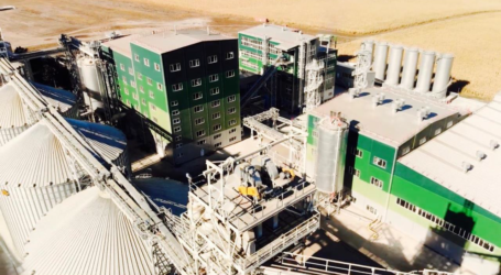 Sojaschrot aus Ukraine emissionsarm