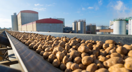 Agrana stärkt Standort Gmünd