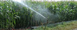 NGOs entlarven Schwindel der Agrarlobby
