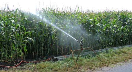 NGOs entlarven Schwindel der Agrarlobby