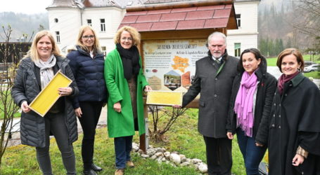 Bienenlehrpfad in Hohenlehen eröffnet