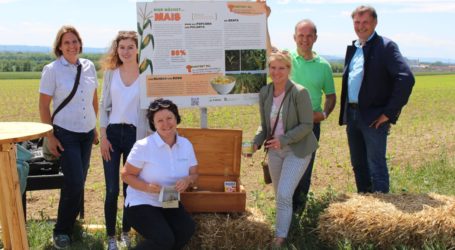 Schwechater Lehrpfad interaktiv und begehbar