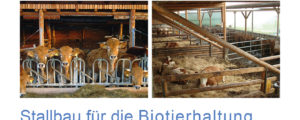 Stallbau-für-Bio-Rinder in vierter Auflage
