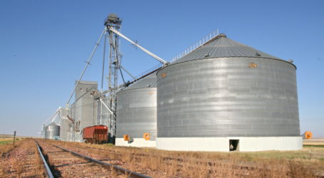 Strasser fordert Schutzklausel