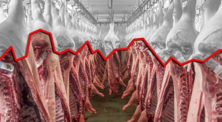 FAO-Lebensmittelindex im April steigend