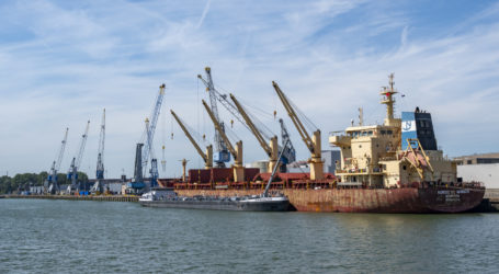 LFBÖ mahnen Schutz gegen Ukraineimporte ein