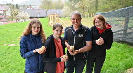 Schüler züchten Warther Weidehuhn