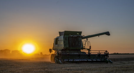 ARCHE Noah fordert Patente-Stopp