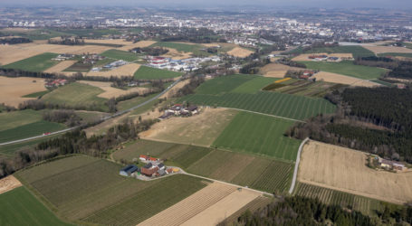 La Via Campesina feiert Dreißiger