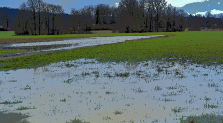 AMA toleriert bestimmte Fristabweichungen