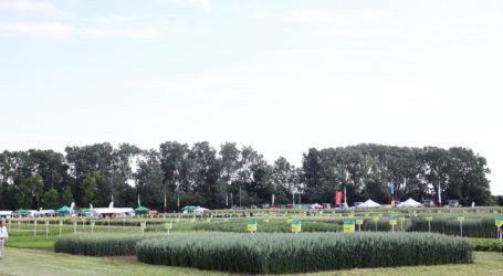 Saatbau-Linz-Feldtag gut besucht