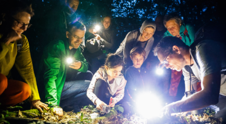 Tag der Artenvielfalt im Wienerwald
