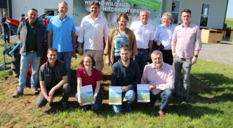 LK-NÖ präsentiert Projektergebnisse
