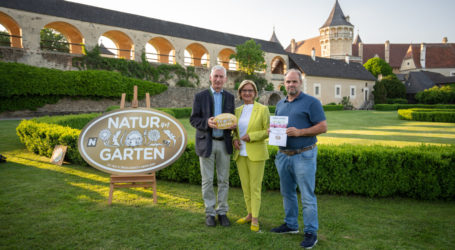 Schulgartenpflege mit Igel belohnt