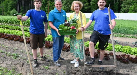 LFS Warth erprobt market-gardening