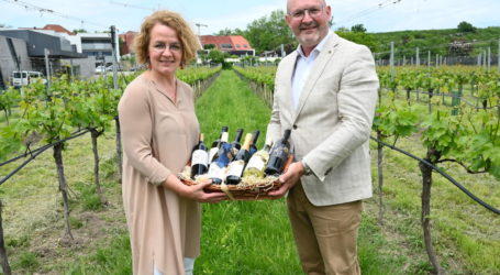 Weine aus den NÖ-Landesgütern sehr elitär