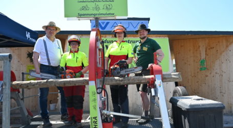 Spannungssimulator auf Land&Forst