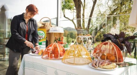 Biologisch feiern am Mötschlmeierhof