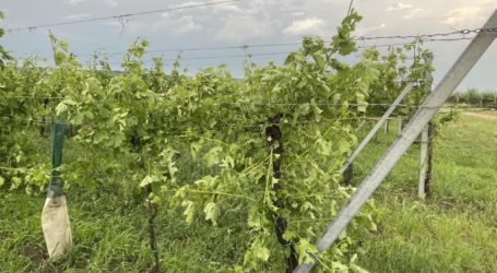 Unwetter in Kärnten und Niederösterreich