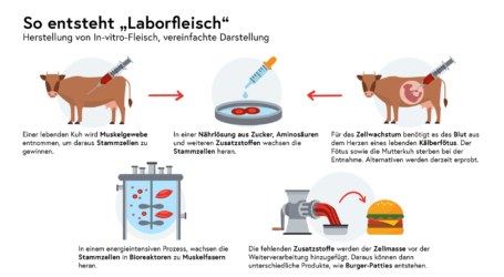 Totschnig warnt vor Laborfleisch