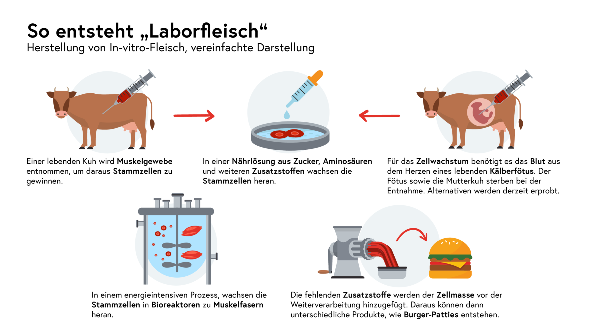 Totschnig warnt vor Laborfleisch - Blick ins Land