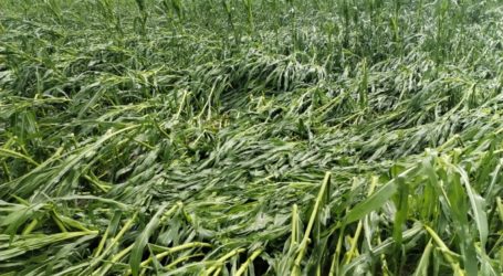 Fortgesetzt Unwetter in Steiermark