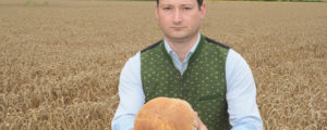 Ukrainischer Genweizen in unserem Brot?
