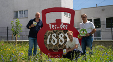 Teeproduzent lässt es summen