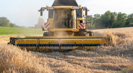 Wetter erhitzt auch Getreidemärkte