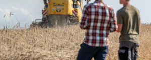 Oberösterreichs Getreideernte nur mittelmäßig