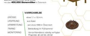 Varroa-Warndienst beugt Bienenverlusten vor