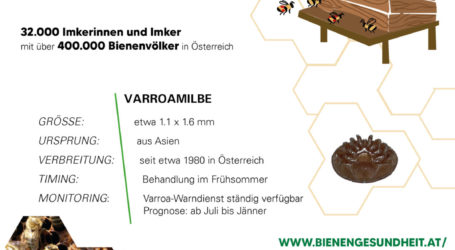 Varroa-Warndienst beugt Bienenverlusten vor