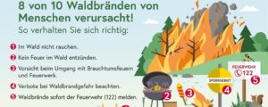 Waldbrände meist menschengemacht