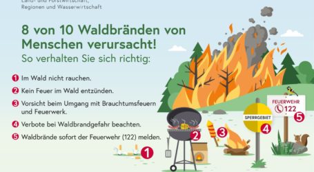 Waldbrände meist menschengemacht