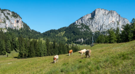 Sternstunden auf der Hochbärneckalm